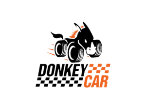 Donkey car Donkey car